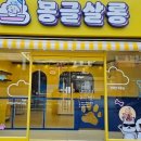 미용하는 강아지 살롱 이미지