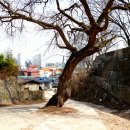 무태파출소 앞 이미지