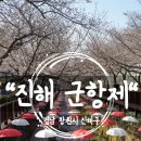 해군낙산대제2식당 | 아이와 함께 진해군항제 실시간 벚꽃 개화 상황 여좌천 해군사관학교 경화역 코스 (경남진해)