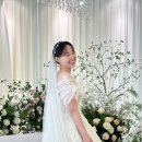 메리스냅