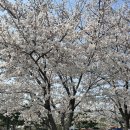 221 | [잠실야구장직관] 3루 329구역 1열 / 3루 221구역 6열 시야후기