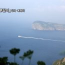 천년의 하루 이미지