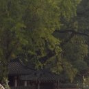 두류2리 이미지