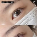 눈에반하다 네이버블로그