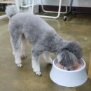 몽스케치 이미지