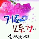 평안 Daum카페