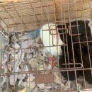 고내농장 이미지