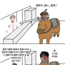 카레시 이미지