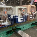 금비켄넬 이미지