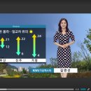 고성축산농협 하나로마트 이미지