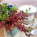 도예(초급) 이미지