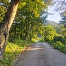 백암버스정류장 이미지