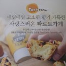 타르트팜카페 이미지