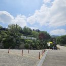 고리산통나무집 | 용인자작나무숲 수국축제,장미,아이랑갈만한곳,동물먹이주기 내돈내산 솔직후기