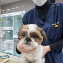 원미지구대 이미지