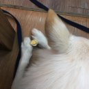 메추리 펜션 이미지