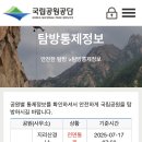 용당터미널주유소 Daum카페