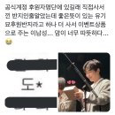라쿤롤(주) | 크게 소리질러! 살아있음을 함께 느껴!