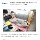 번영축산 이미지