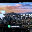 [Framer x 29cm] Seoul Meetup 프레이머 서울 밋업 후기