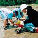 연합여행사㈜ 이미지