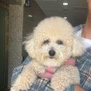 행복을 배우는 공간 이미지