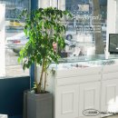 언커버안경원 이미지