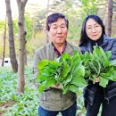 강대성농장 이미지