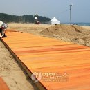 삼척해수욕장C 연합뉴스