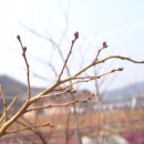 새순농장 이미지