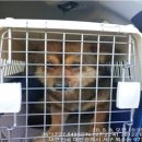 복수남로 이미지