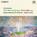 봄의 제전 이미지