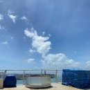 간절곶횟집 이미지