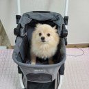 (주)케이비비 네이버블로그