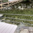 노들식당 이미지