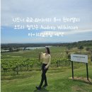 황지주유소 | 시드니 근교 와이너리 투어 헌터밸리 오드리 윌킨슨 Audrey Wilkinson 마이리얼트립 예약