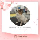 동물병원 누리에뜰 이미지