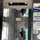 메이트피티 이미지