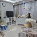 제주 셀프 돌스냅 홈스냅 내돈내산 후기(돌상대여,드레스,떡집 추천)