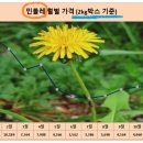 원웰빙청과