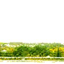 도봉-도봉-서울도봉-2286 이미지