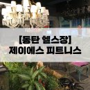 피티 팜엔핏 동탄점 | 동탄 헬스장 제이에스 피트니스 헬스 PT 바디챌린지 체지방률 10% 감량 내돈내산 후기