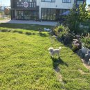 콩이네하우스 이미지