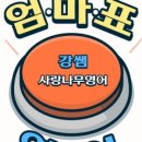 사랑나무영어