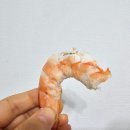 구룡포통큰수단 활새우 솔직후기! 바다새우 추천