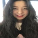세렌디피터 이미지