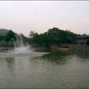 의림지-05 Daum카페