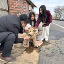 삼도초교 이미지