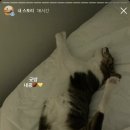 콩실언니 네이버블로그