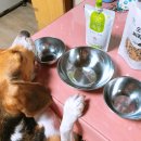 건국목장 이미지